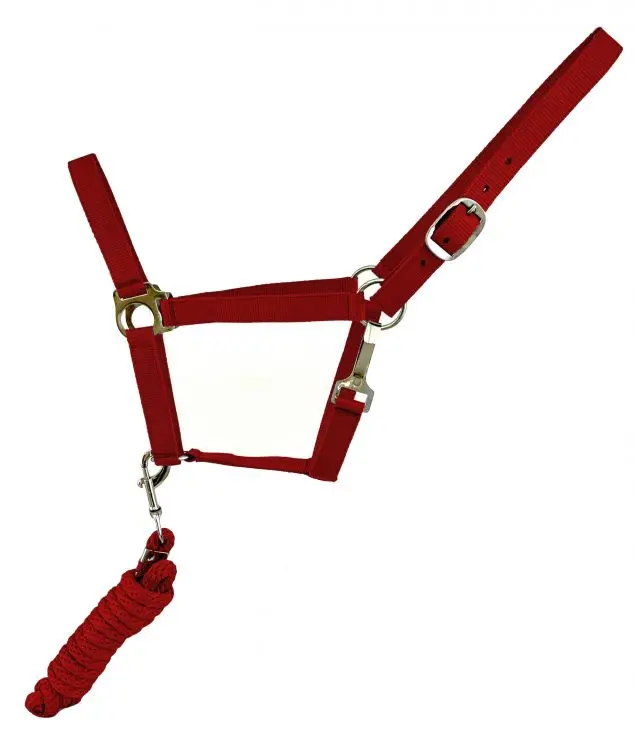 Red Full Size Adjustable Nylon Halter With 8.5Ft Lead 1