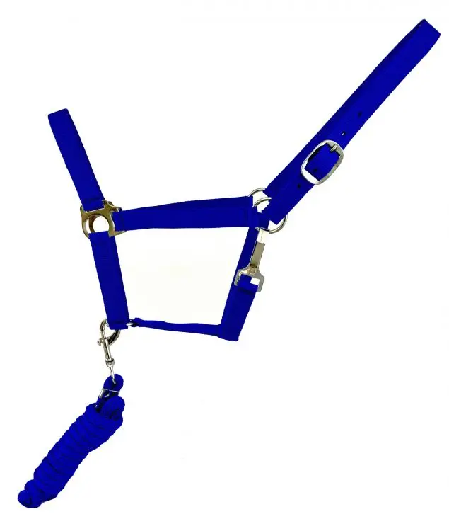 Blue Full Size Adjustable Nylon Halter With 8.5Ft Lead 1