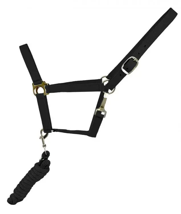 Purple Full Size Adjustable Nylon Halter With 8.5Ft Lead 1