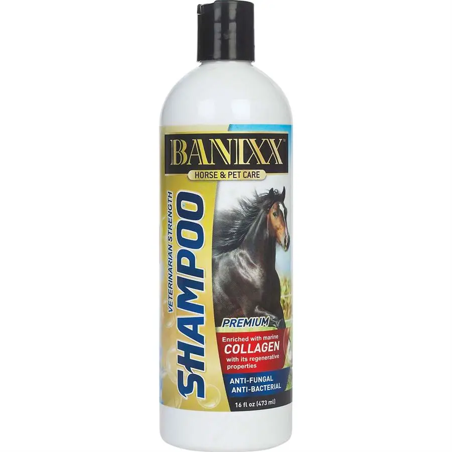 Banixx. Shampoo For Horse & Pet Care. 1