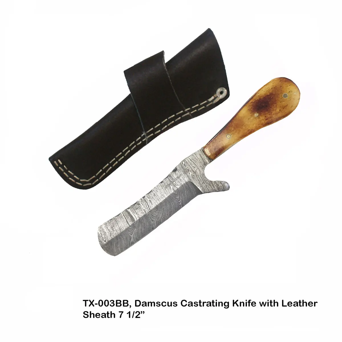 Knife, Damascus Castration Burntbone Grip 1