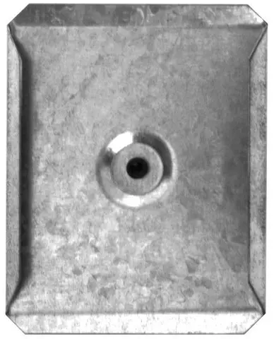 Wildgame Innovations Spinner Plate (1/4" Shaft) 1