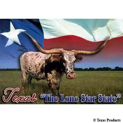The Lone Star State Postcard 1