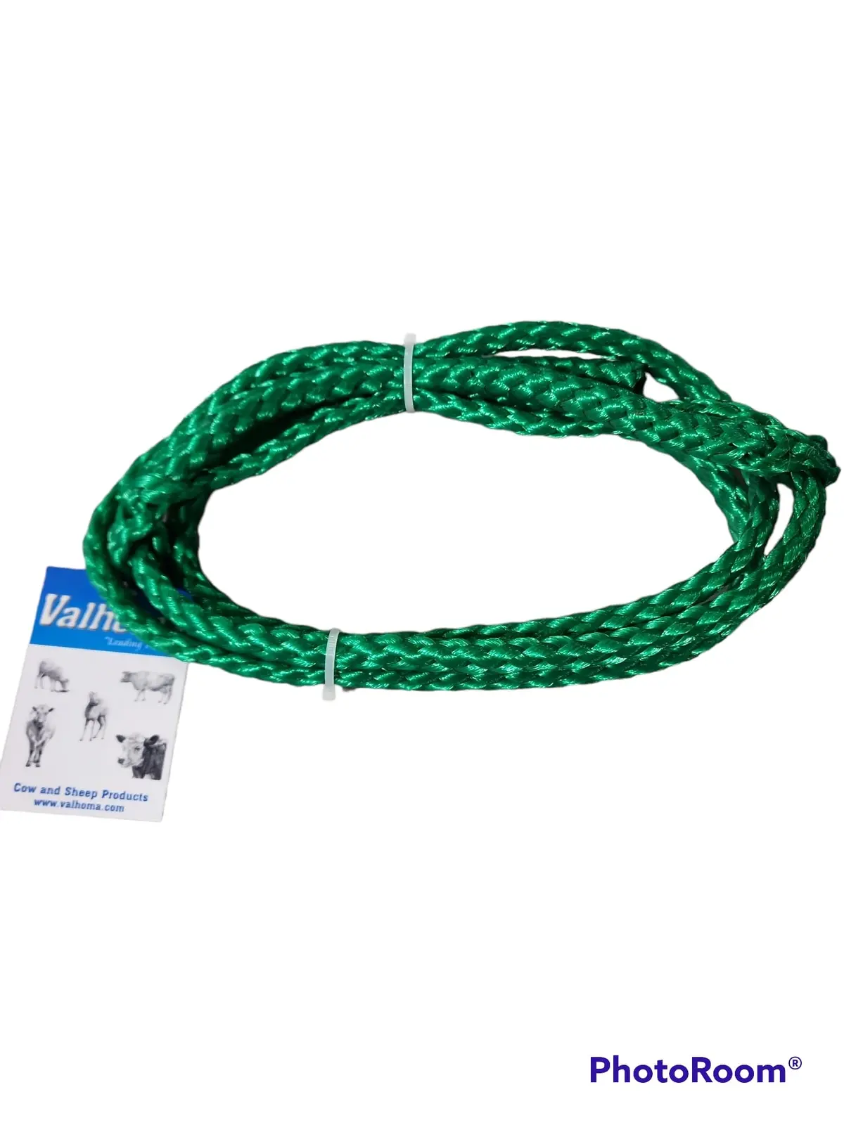 Halter - Sheep Holding - Green 1