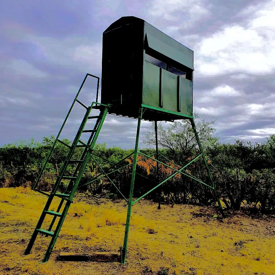 Double Blind - Parapeto Doble 1