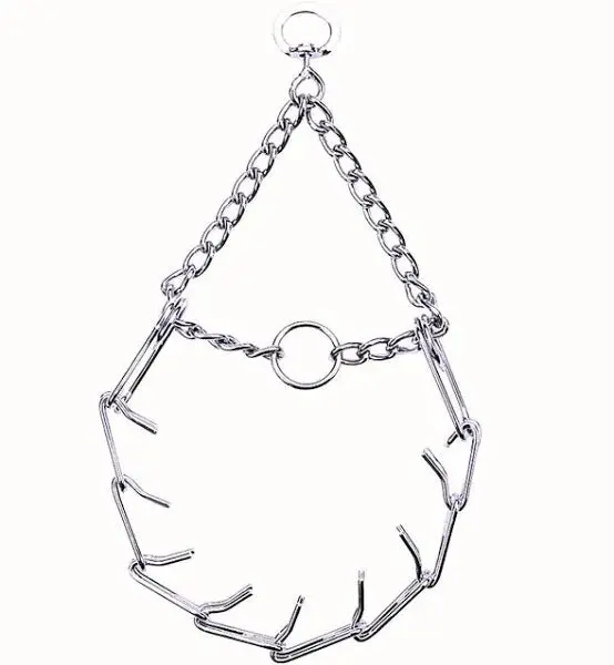 Pronged Training Slip Collar 12" 1