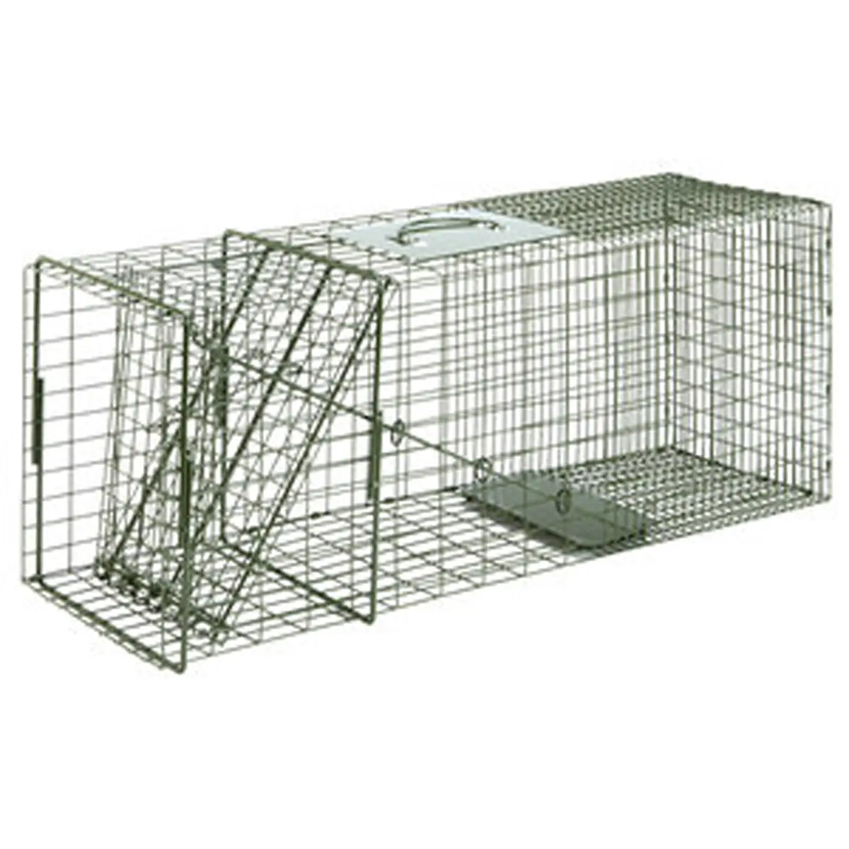 Duke Large Cage Trap 32X10x12 1