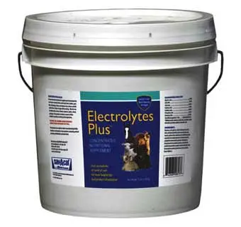 Electrolytes Plus Multi-Species Supplement 10 Lb Pail 1