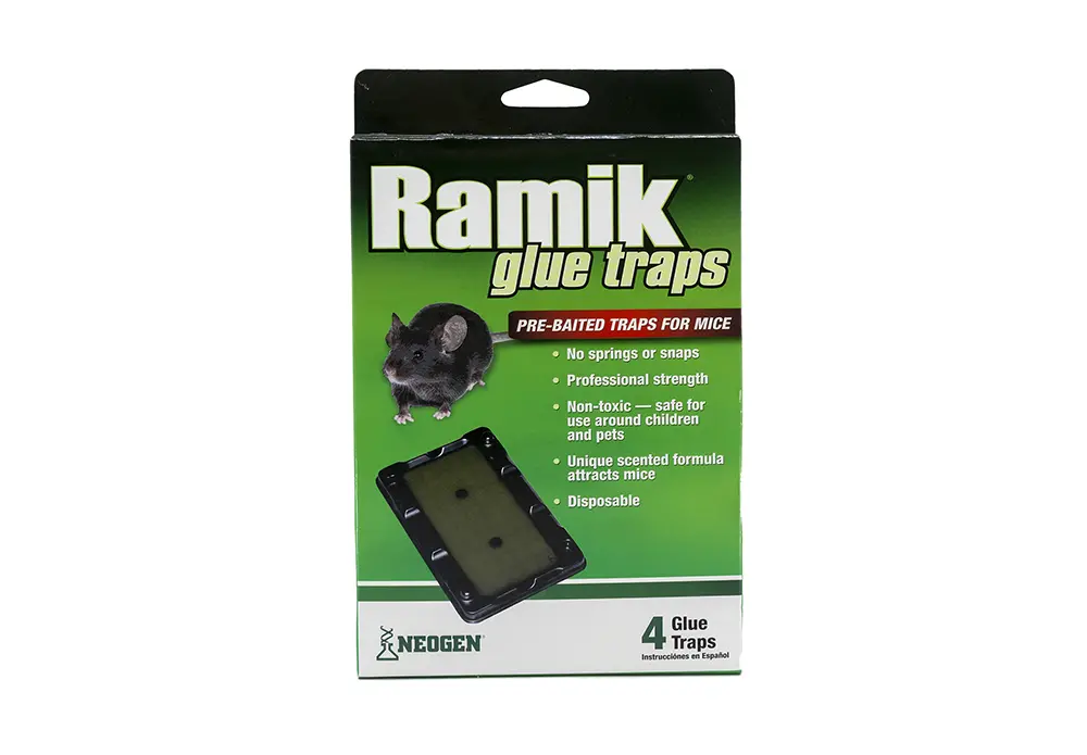 Ramik® Glue Traps 1