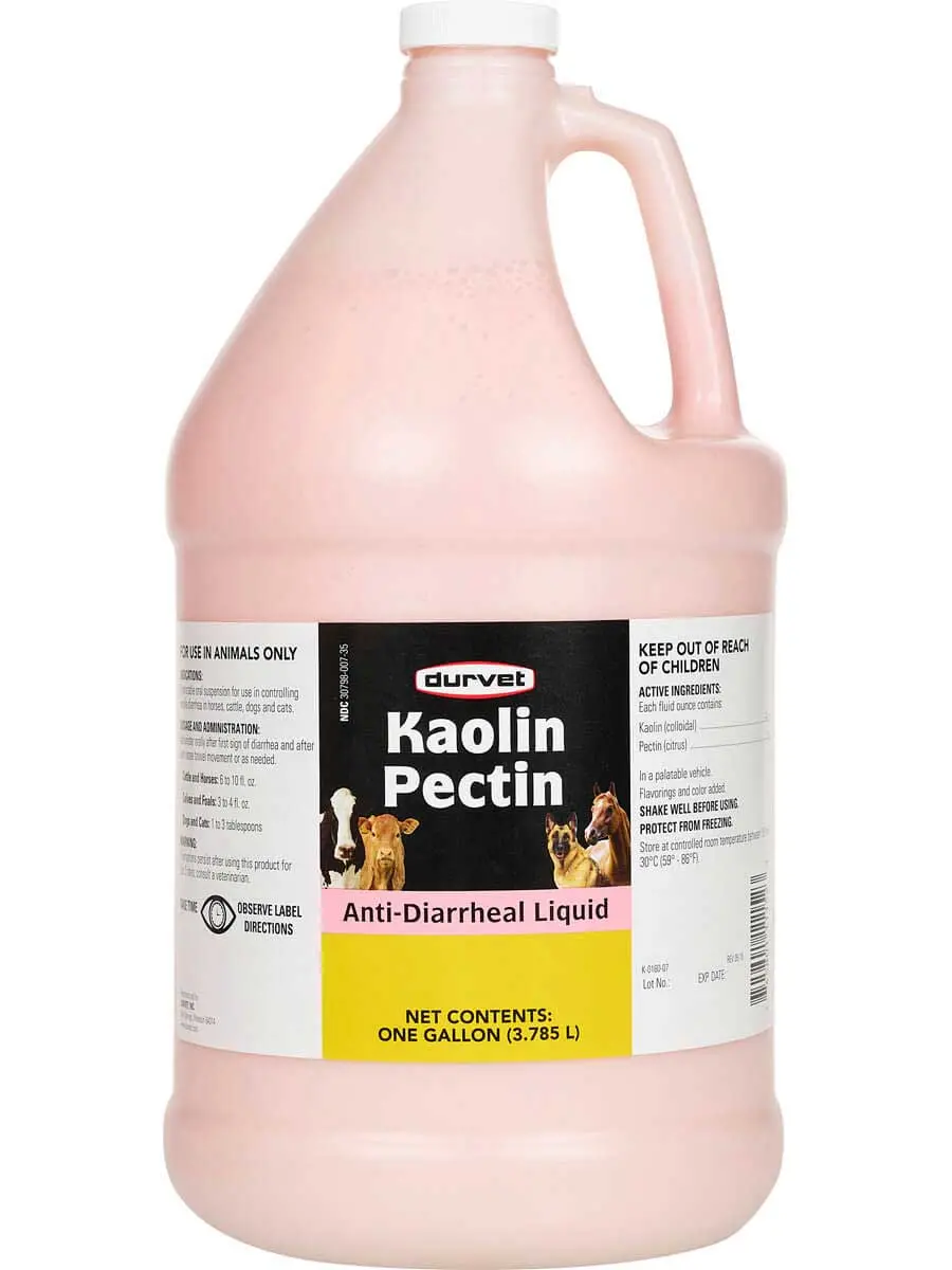 Kaolin Pectin Anti-Diarrheal Liquid 1Gal 1