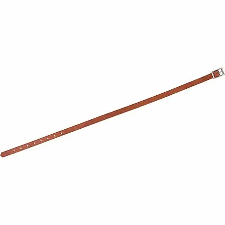 Harness Leather Replacement Uptug, 3/4 In. X 33 In. 1