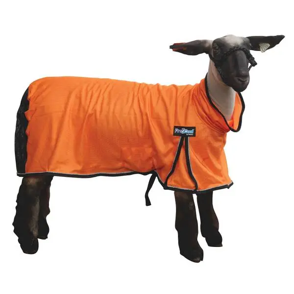 Procool Goat Blanket With Reflective Piping - Large Orange 1