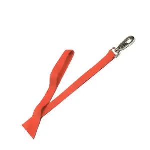 Single Layer Nylon Orange Hunting Leash 1