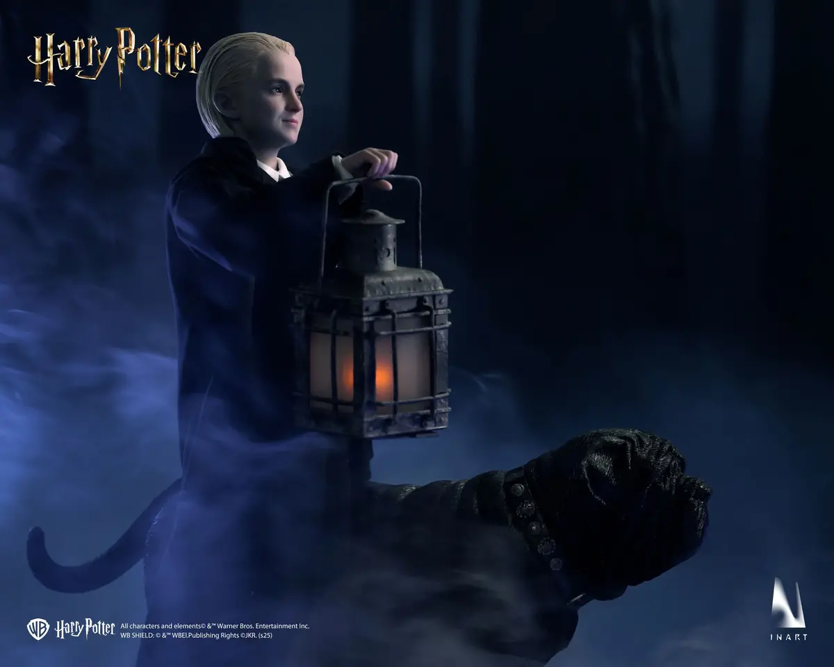 Harry Potter And Philosopher's Stone: Draco Malfoy Standard Version 1