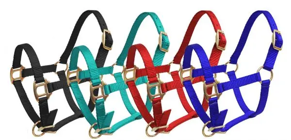 Showman - Premium Nylon Halter W/ Brass Hardware - Mini Size 1