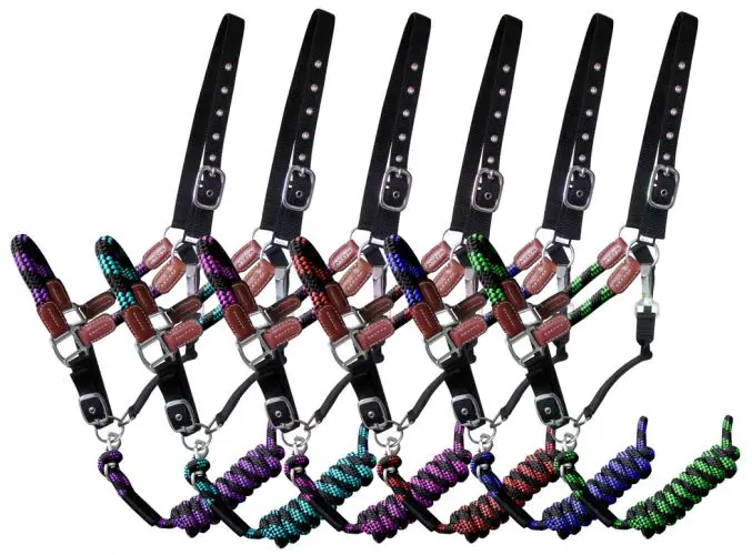 16647 - Nylon Halter And Matching Lead Rope With Leather Accents (Assorted Colors) 1