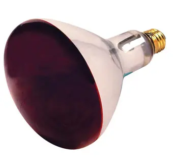 Heat Lamp R40 Infrared Reflector 250W Red 1