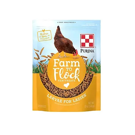 Farm To Flock Larvae For Ladies Hen Treats, 12 Oz 1