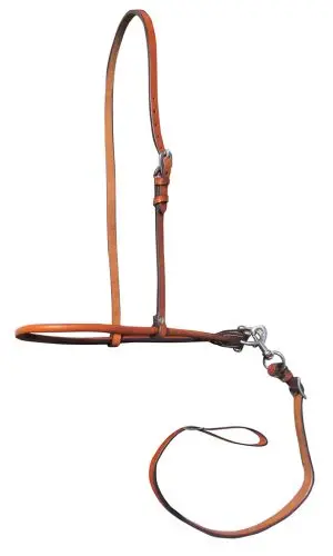 Argentina Leather Smooth Tie Down With Thin Noseband 1