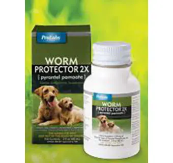 Worm Protector® 2X For Dogs - 2 X 2Oz 1