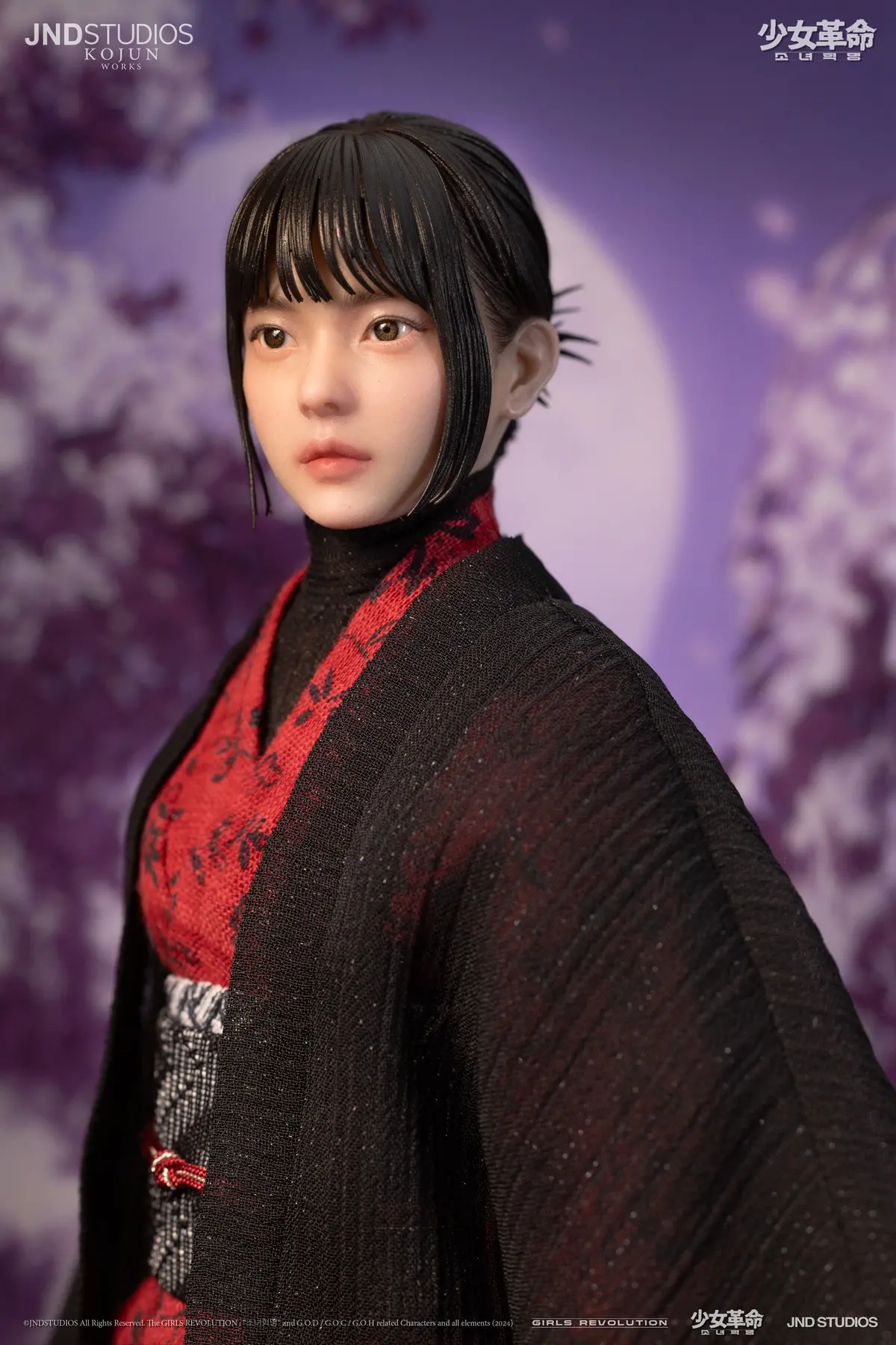 Girls Revolution: Yui Collector's Edition 1