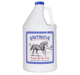 Gastroade® - 1 Gal 1