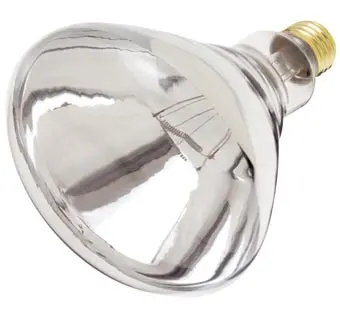 Heat Lamp Clear 250 Wt 1