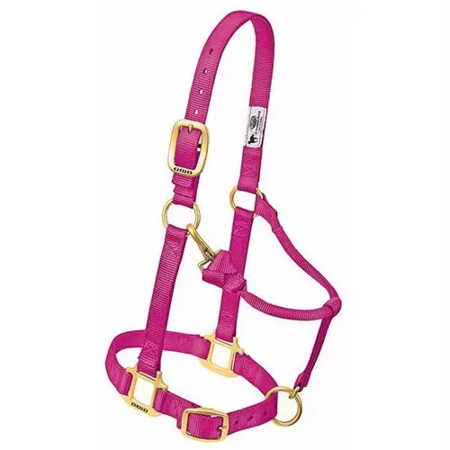 Original Adjustable Chin And Throat Snap Halter, 3/4" - Suckling Raspberry 1