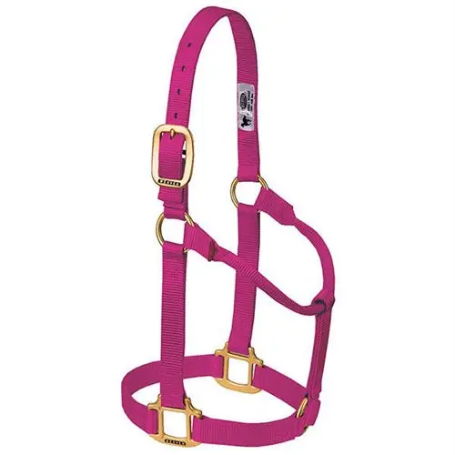 Original Non-Adjustable Halter 1" - Small Raspberry 1