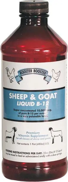 Sheep & Goat Liquid B-12 Supplement - 16 Fl Oz/480 Cc 1