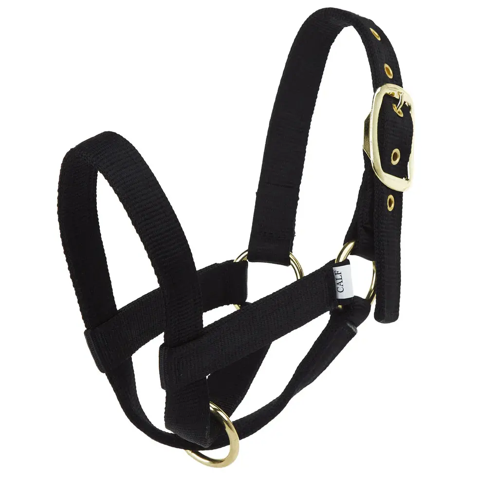 Calf Halter Turn Out - Black 1