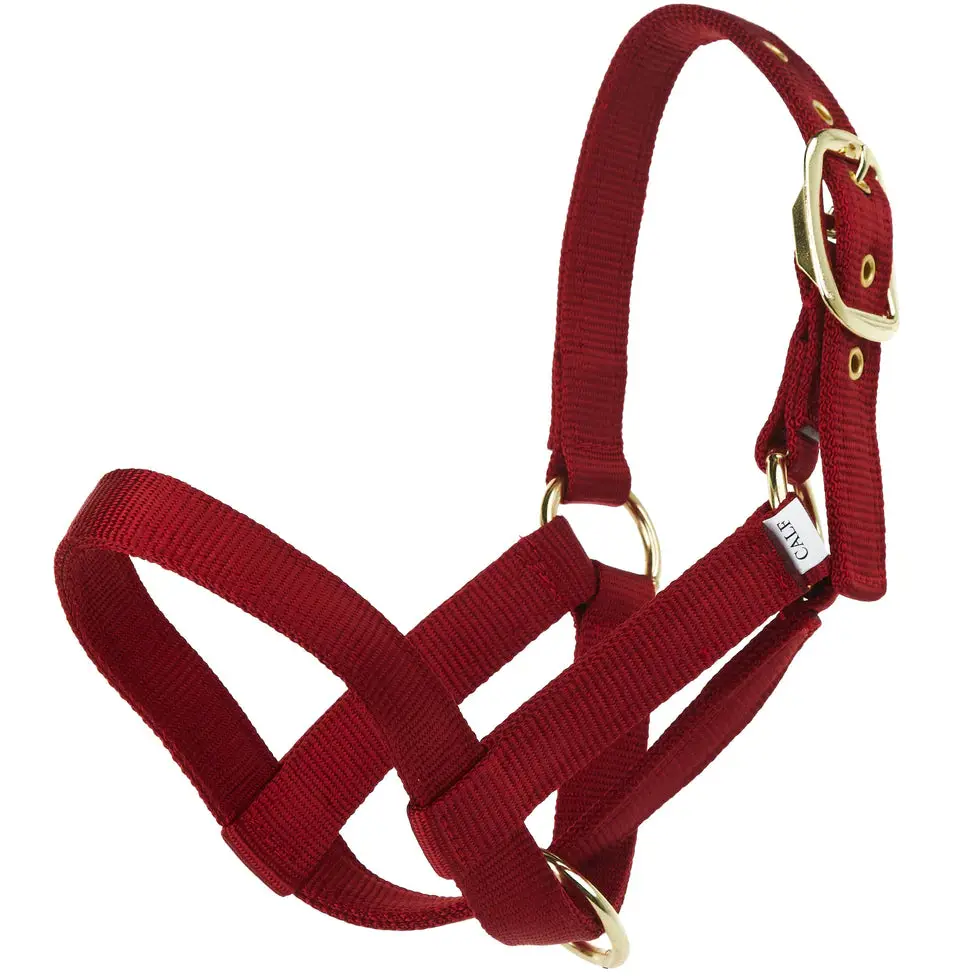 Calf Halter Turn Out - Red 1