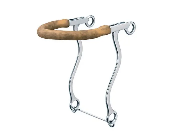 Bit, Hackamore, S.S. 1