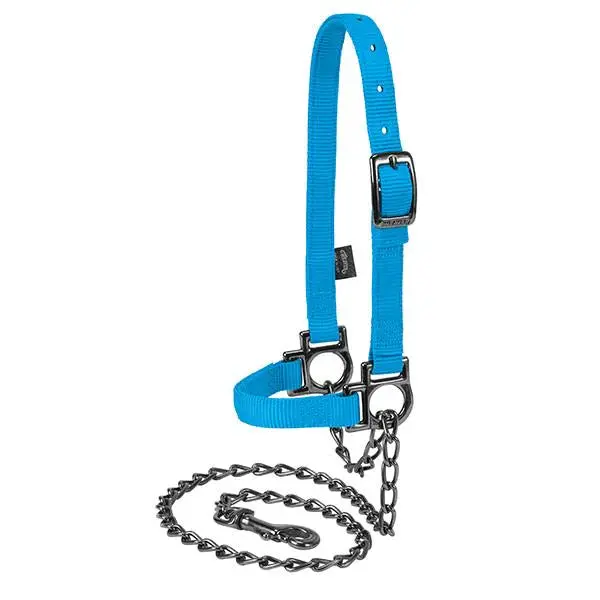 Nylon Adjustable Sheep Halter With Chain Lead - Hurricane Blue 1