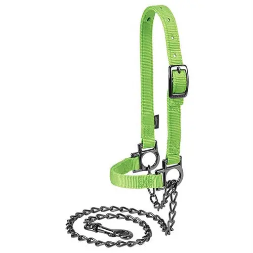 Nylon Adjustable Sheep Halter With Chain Lead 1