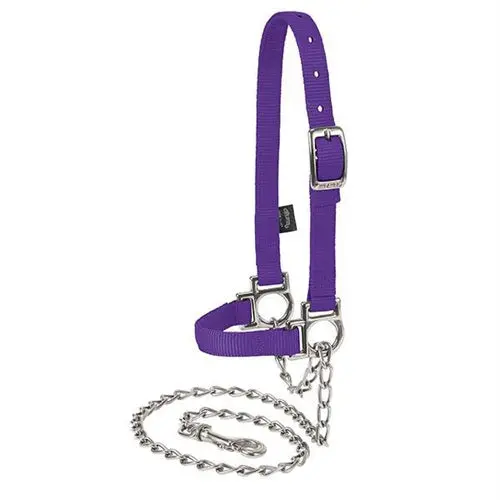 Nylon Adjustable Sheep Halter With Chain Lead 1