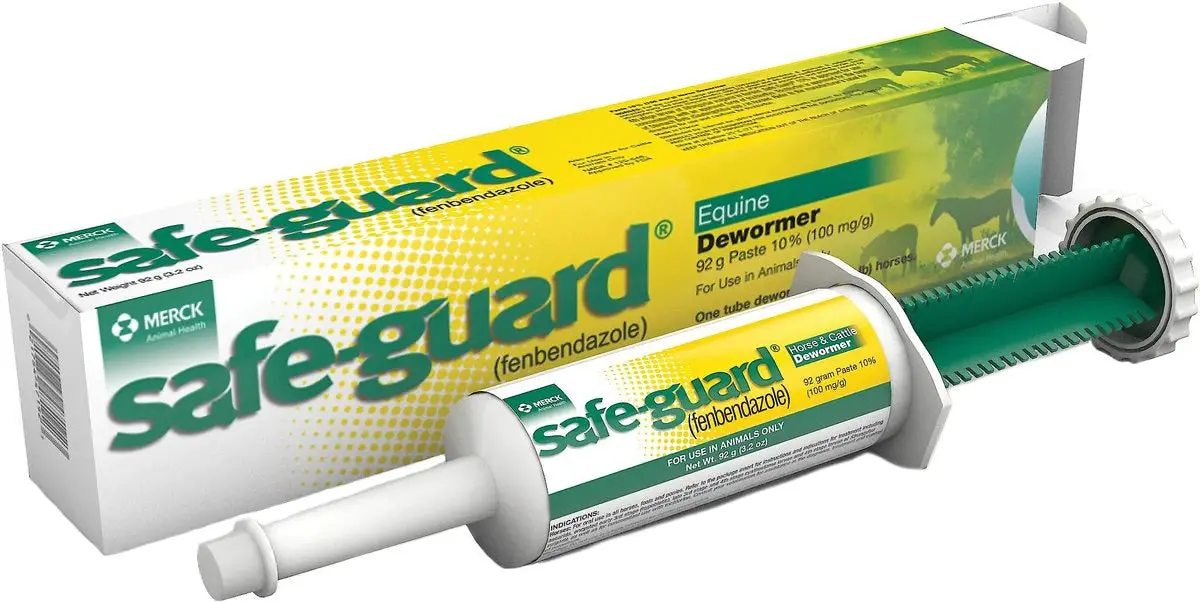 Safe-Guard Paste 92G 1