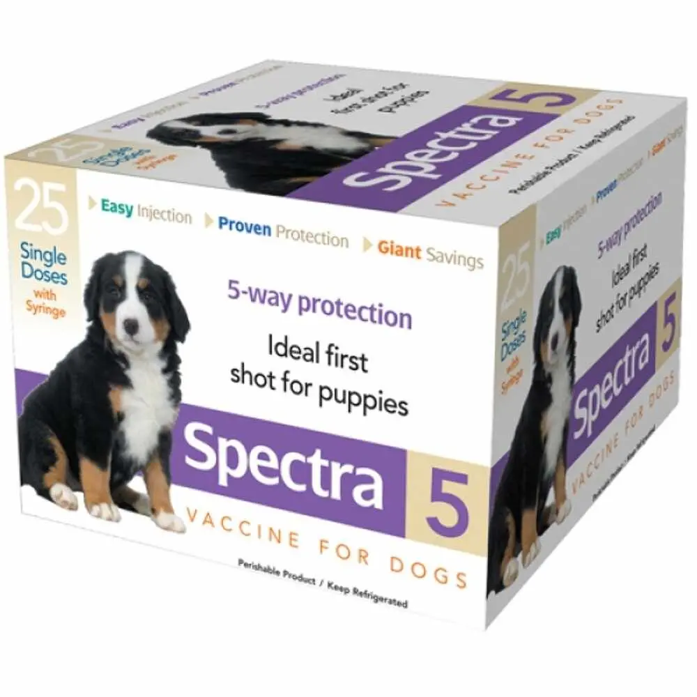 Spectra 5 1Ds W/Syringe 1