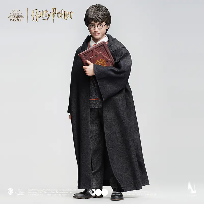 Harry Potter Wizarding World: Harry Potter Standard Version 1