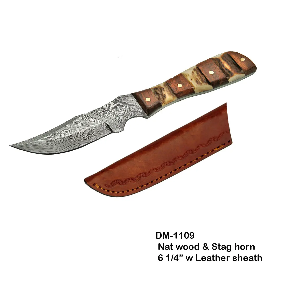 Circle Sh Knife, 6.25" Damascus Mini Stag Wood / W Shealth 1