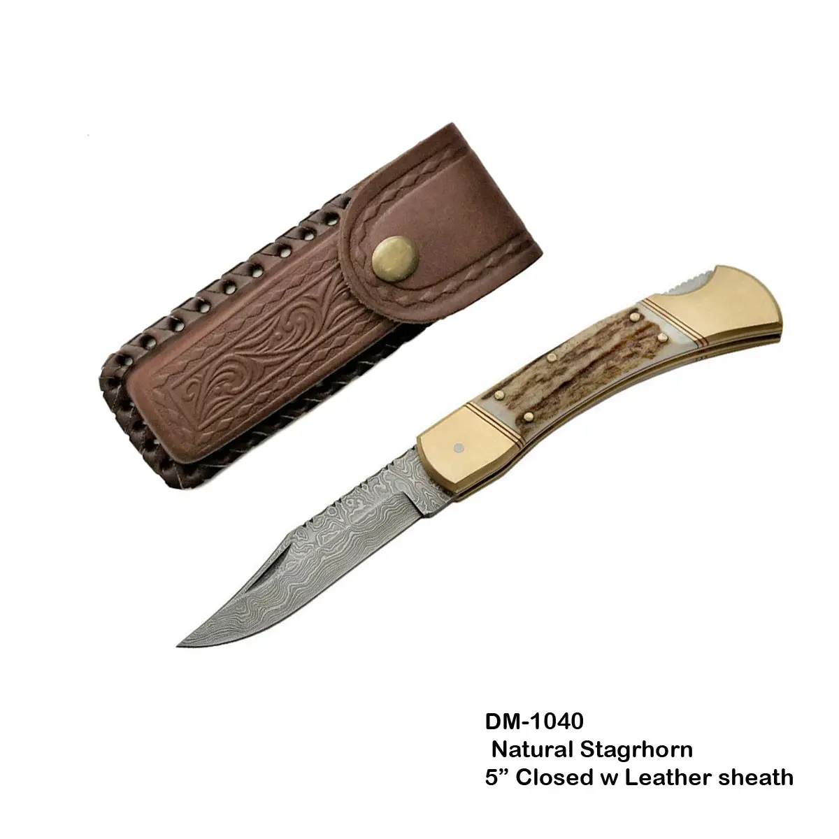 Circle Sh Knife 5" Damascus Filework Hunter, Horn Brass W/ Sheath 1