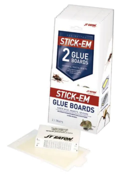 Stick-Em Glue Boards 2/Pk 1