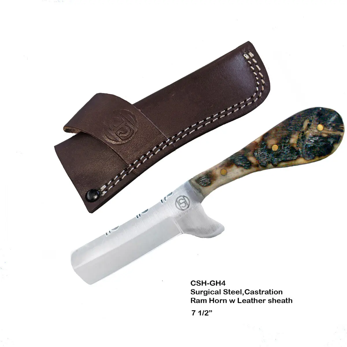 Circle Sh Knife 7 1/2", Damascus, Ram Horn Surgical Steel Heavy Duty Sheath 1