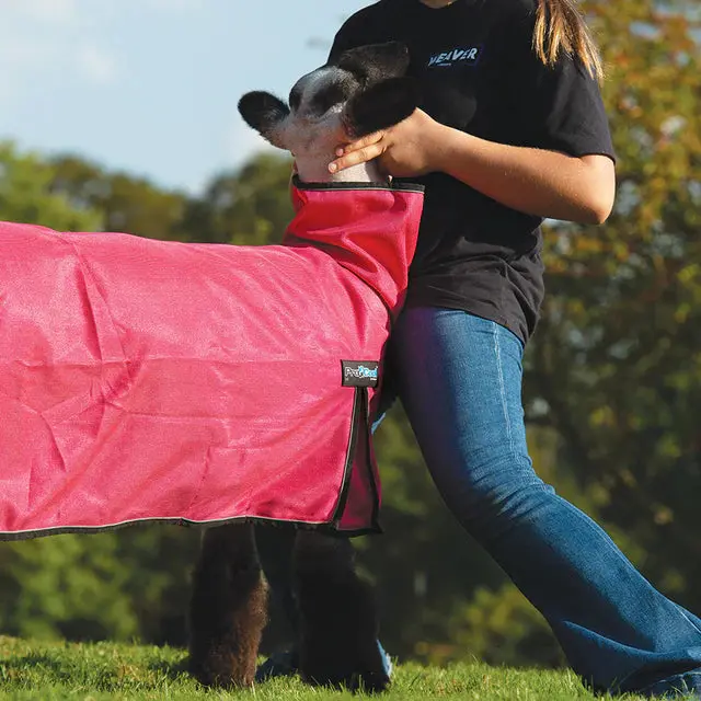 Procool™ Sheep Blanket With Reflective Piping, Mesh Butt - Strawberry - Large 1
