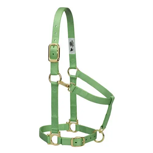 Basic Adjustable Chin And Throat Snap Halter- Large Green 1