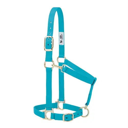 Original Non-Adjustable Halter 1" - Large Sky Blue 1