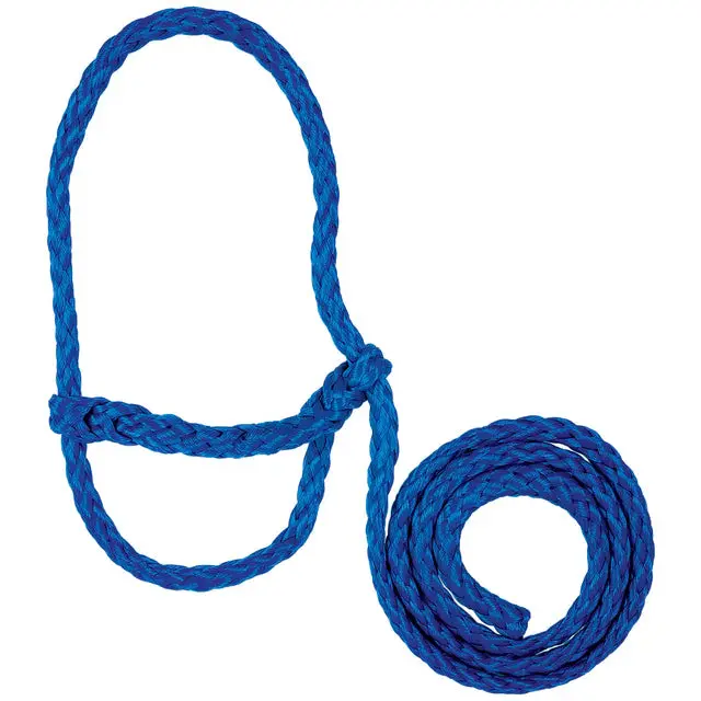 Poly Rope Halter-Blue 1