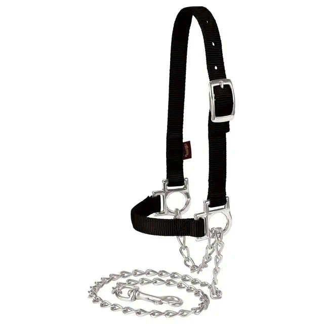 Nylon Adjustable Sheep Halter With Chain Lead-Black 1