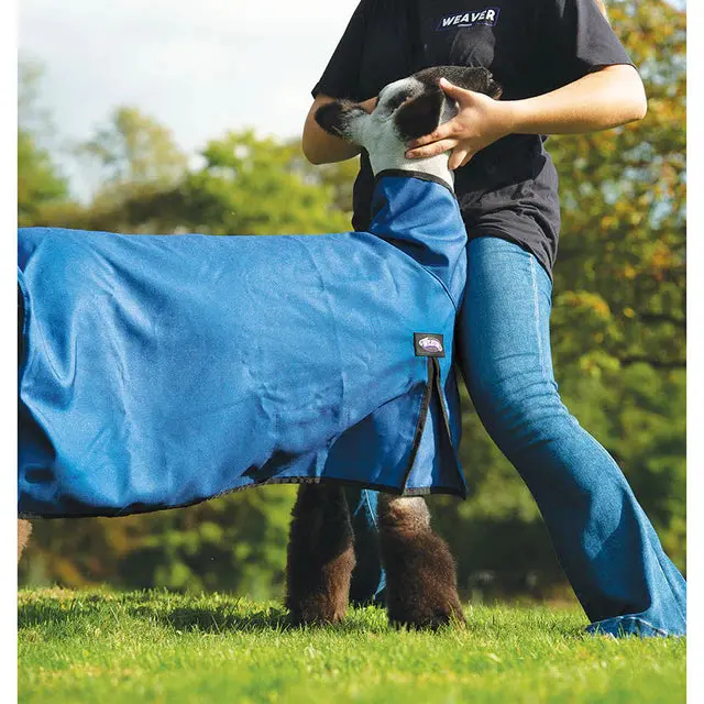 Medium Nylon Sheep Blanket, Mesh Butt-Blue 1