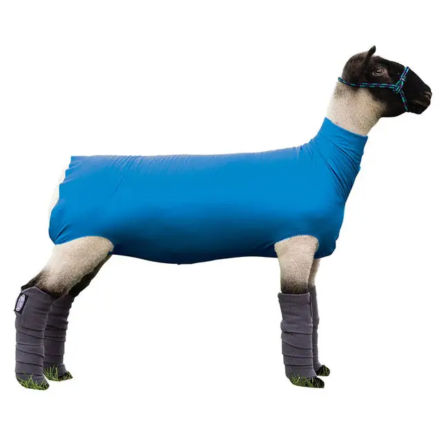 Spandex Sheep Tube - Blue - Medium 1
